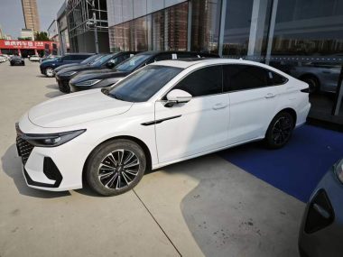 Chery Fulwin A8 - фото 4