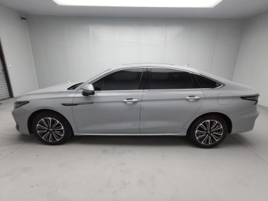 Chery Fulwin A8 - фото 3