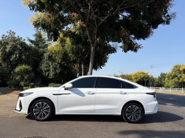 Chery Fulwin A8 - фото 3