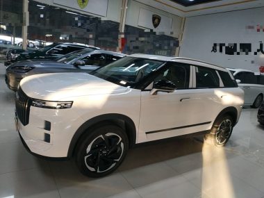 Chery 06 C-DM - фото 2
