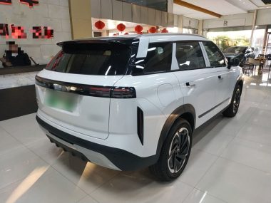 Chery 06 C-DM - фото 4