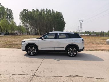 Chery 06 C-DM - фото 4