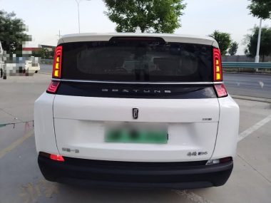 Besturn NAT - фото 2