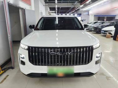 Chery 06 C-DM - фото 1