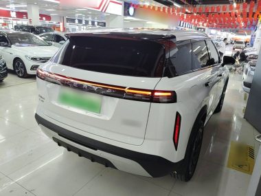 Chery 06 C-DM - фото 3