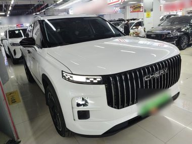 Chery 06 C-DM - фото 4