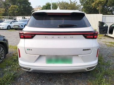 Exeed C-DM - фото 2