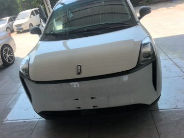 Besturn NAT - фото 1