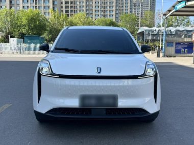 Besturn NAT - фото 1