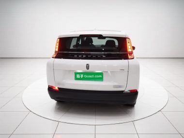 Besturn NAT - фото 4