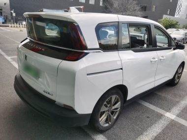 Besturn NAT - фото 2