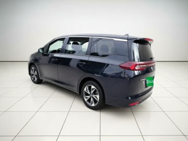 GAC Trumpchi Trumpchi M6 - фото 3