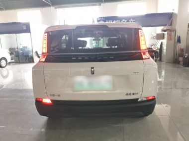 Besturn NAT - фото 2