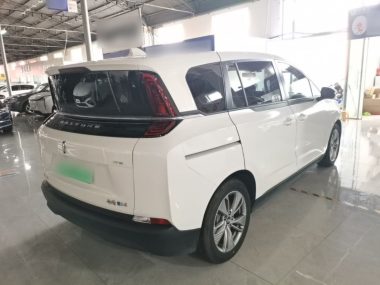 Besturn NAT - фото 3