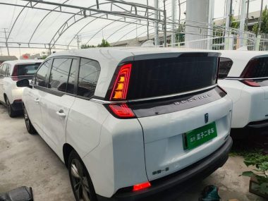 Besturn NAT - фото 4