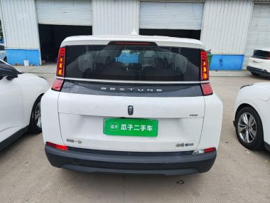 Besturn NAT - фото 2