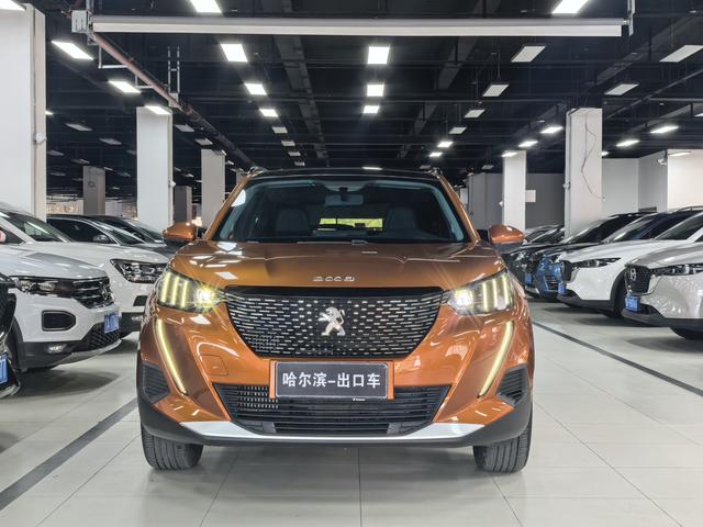 Peugeot 2008 - фото 1