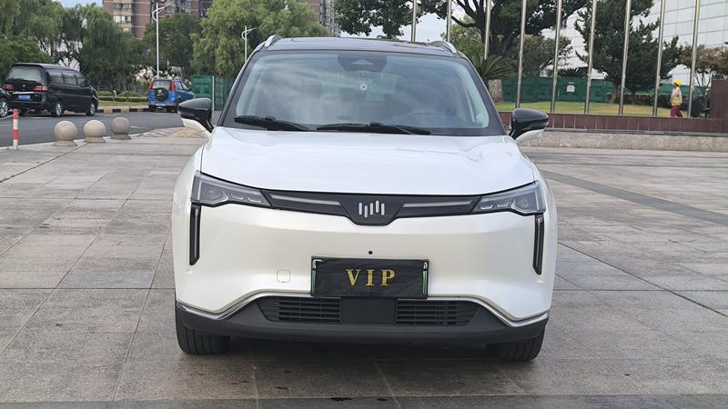 WM Motor W6 - фото 1