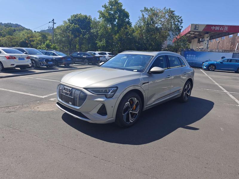 Audi e-tron - фото 0