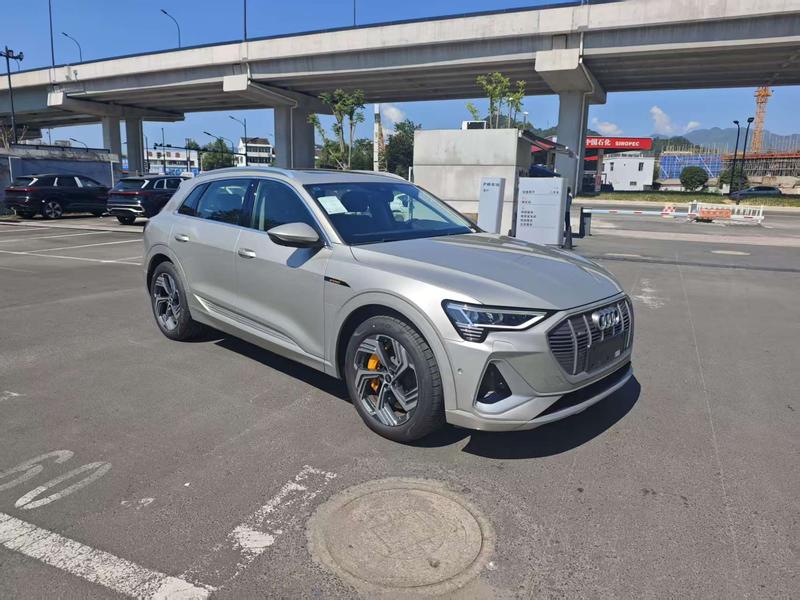 Audi e-tron - фото 2