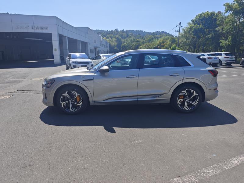 Audi e-tron - фото 3