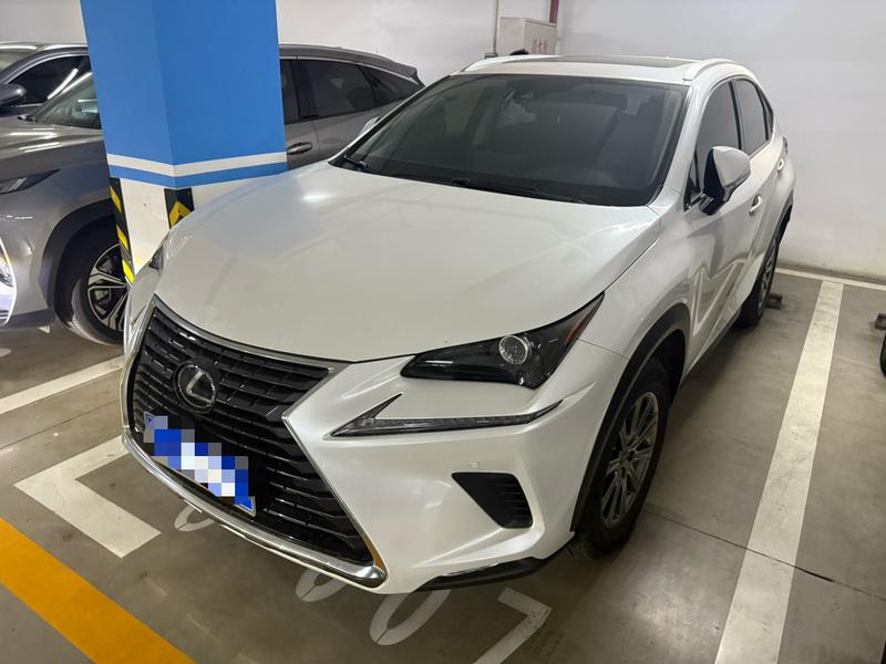 Lexus NX - фото 0