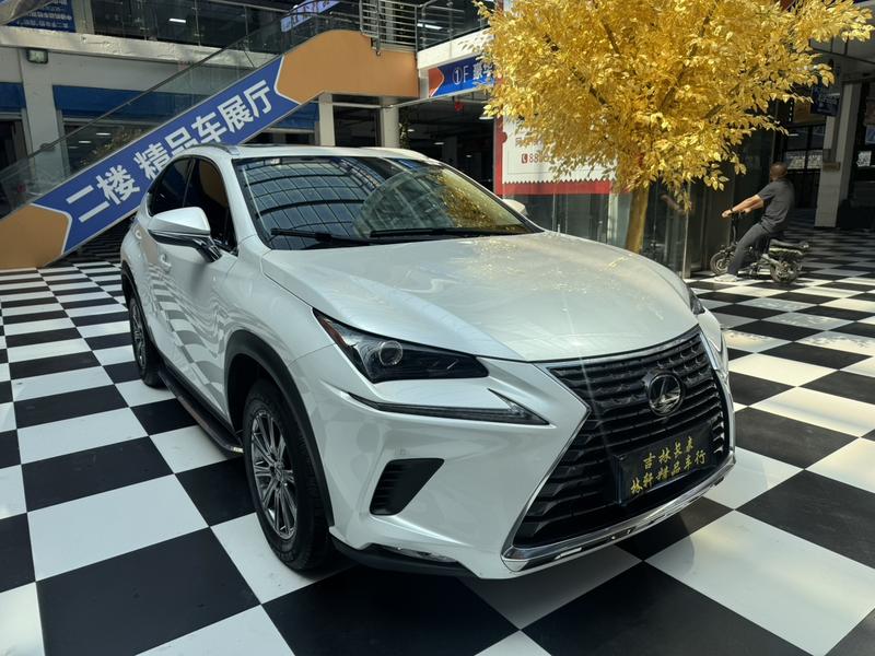 Lexus NX - фото 2