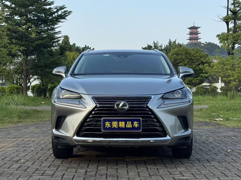 Lexus NX - фото 1