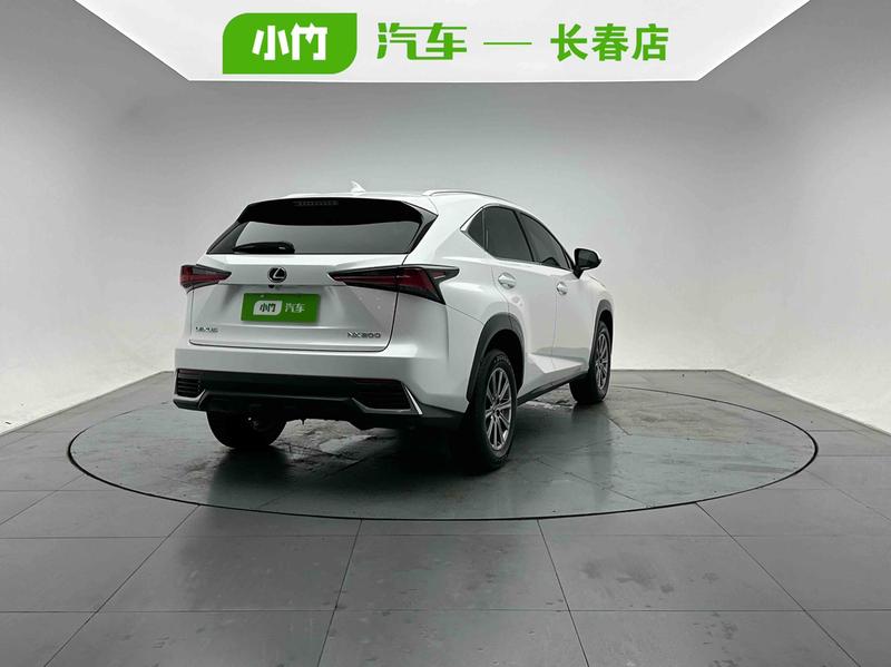 Lexus NX - фото 4