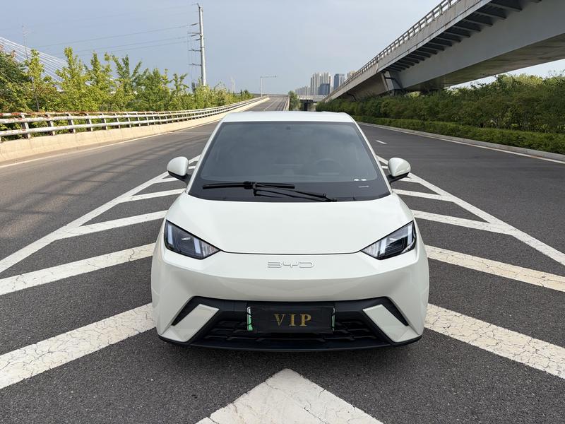 BYD Seagull - фото 1