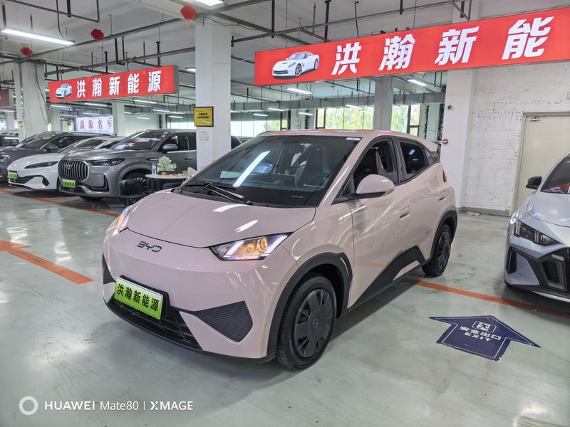 BYD Seagull - фото 0