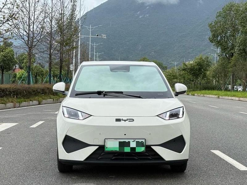 BYD Seagull - фото 1