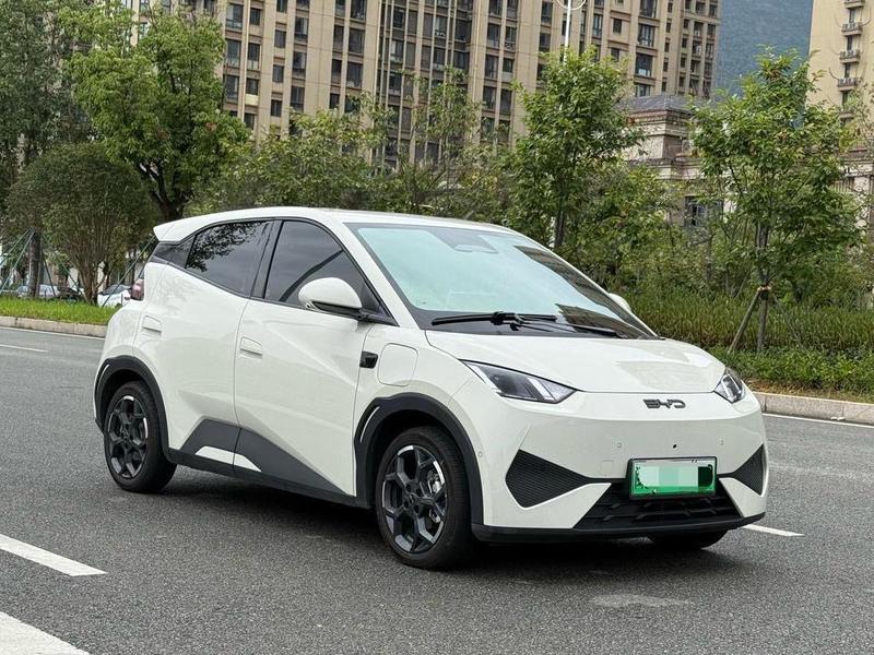 BYD Seagull - фото 2