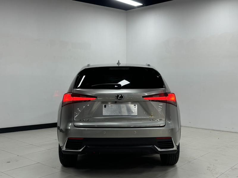 Lexus NX - фото 4