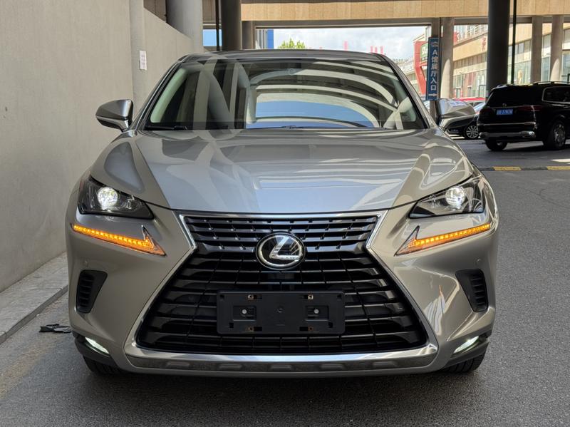 Lexus NX - фото 1