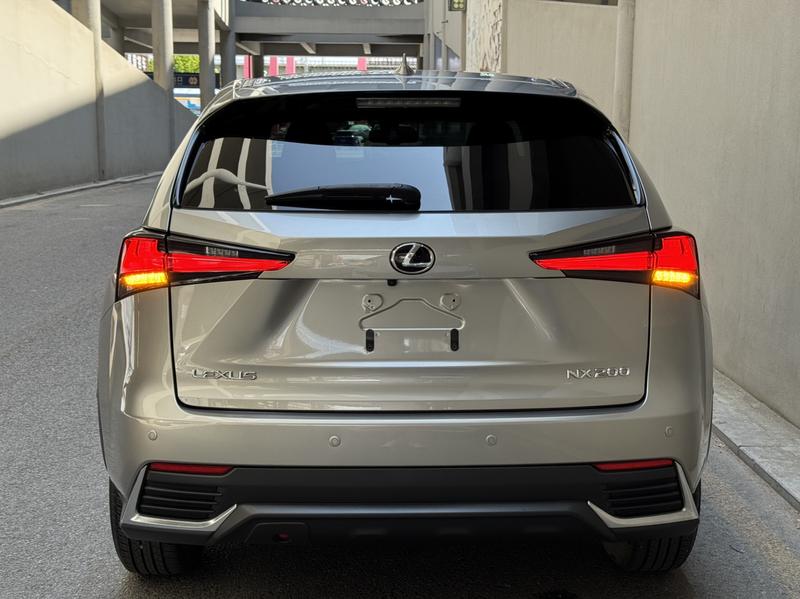 Lexus NX - фото 4