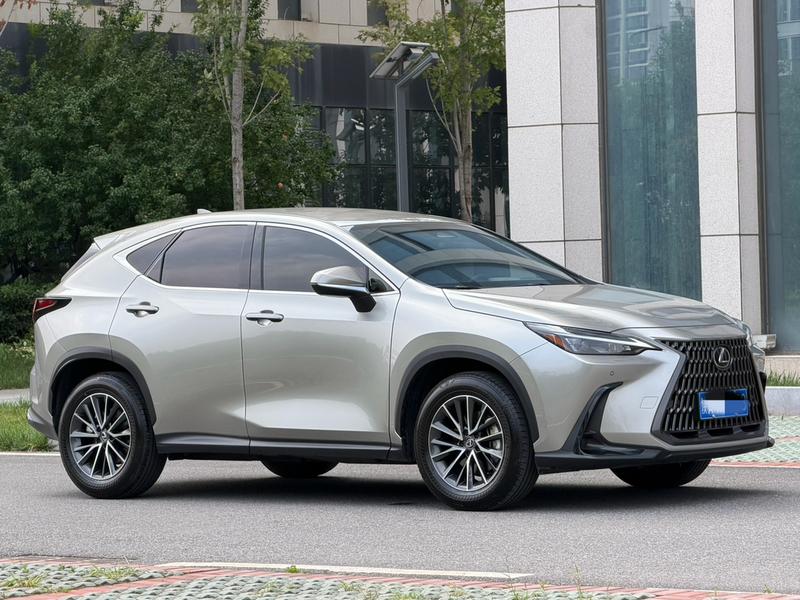 Lexus NX - фото 2