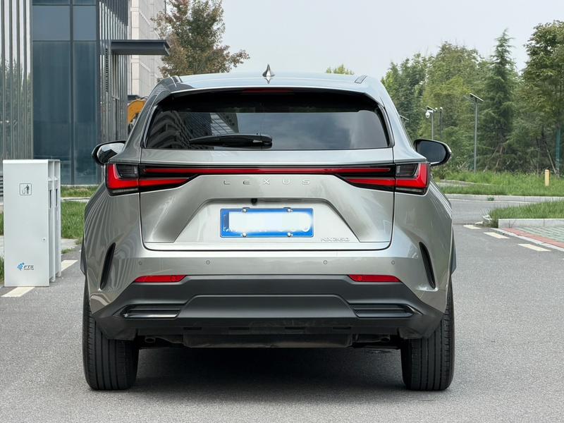 Lexus NX - фото 4