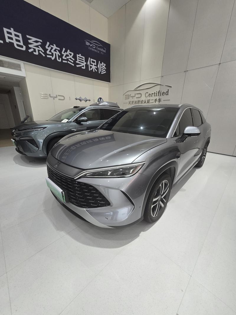 BYD L DM - фото 0
