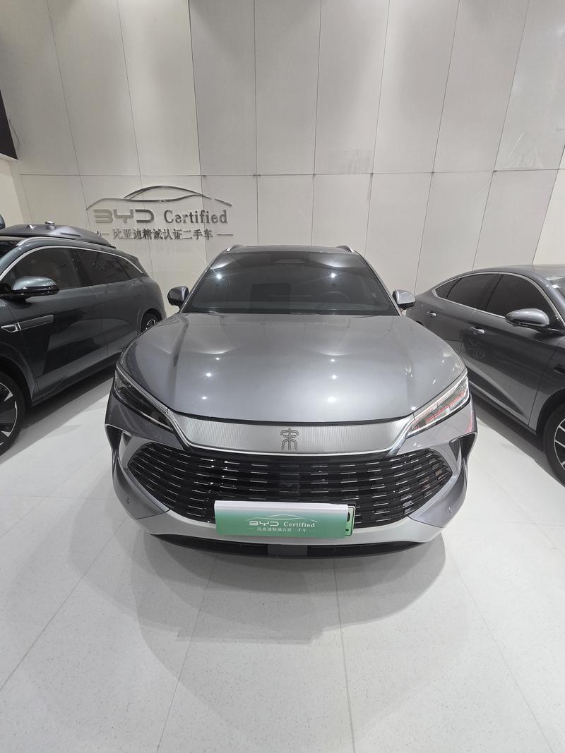 BYD L DM - фото 1