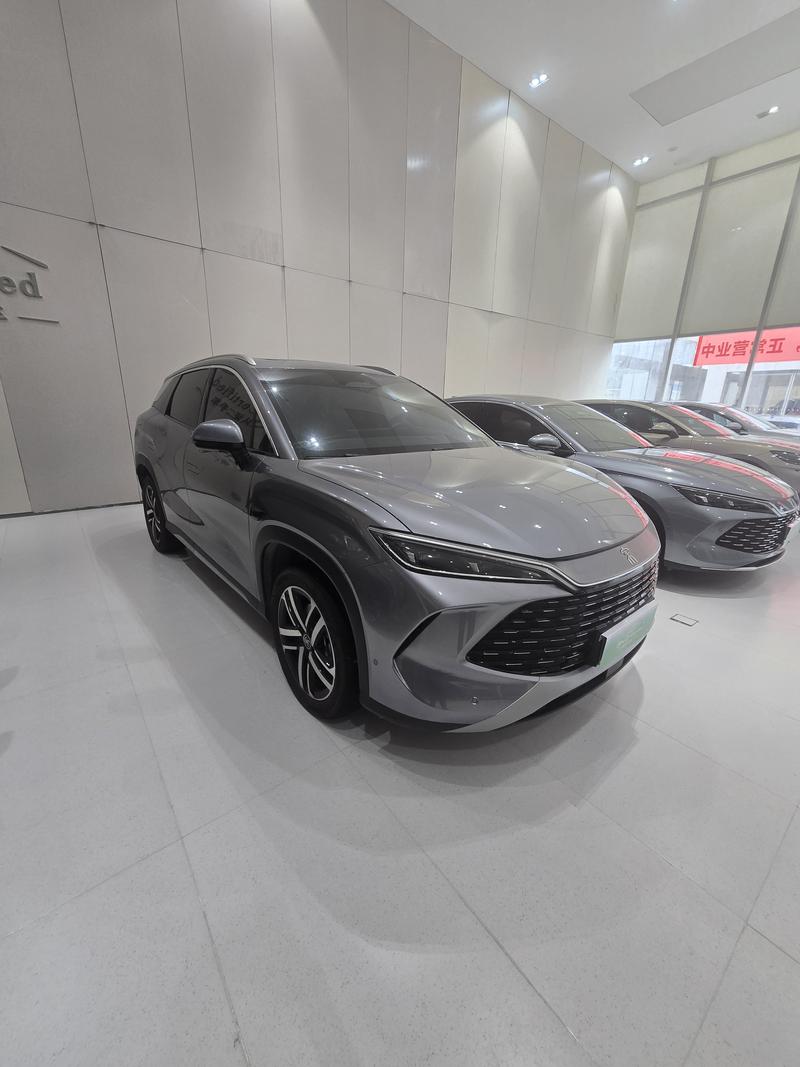 BYD L DM - фото 2