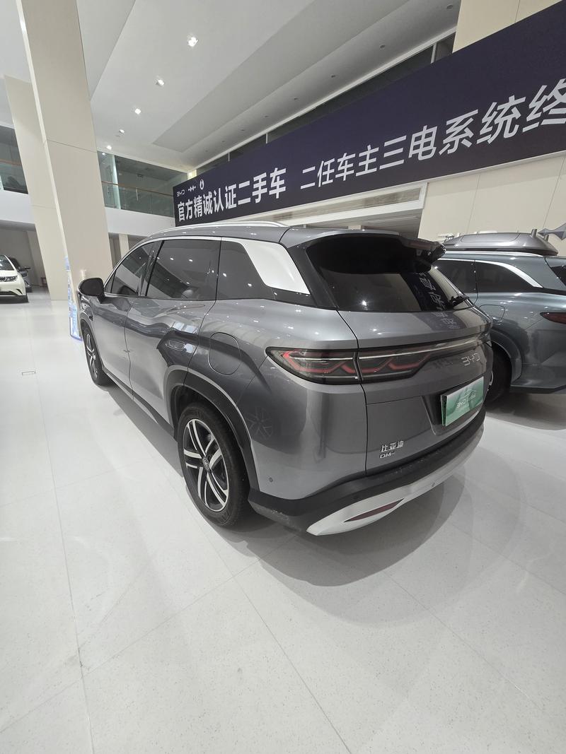 BYD L DM - фото 3