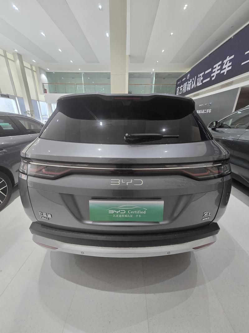 BYD L DM - фото 4