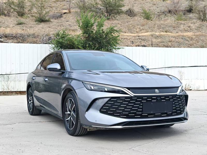 BYD L DM - фото 2