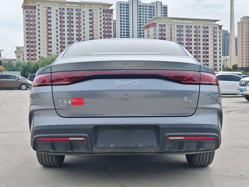 BYD L DM - фото 4