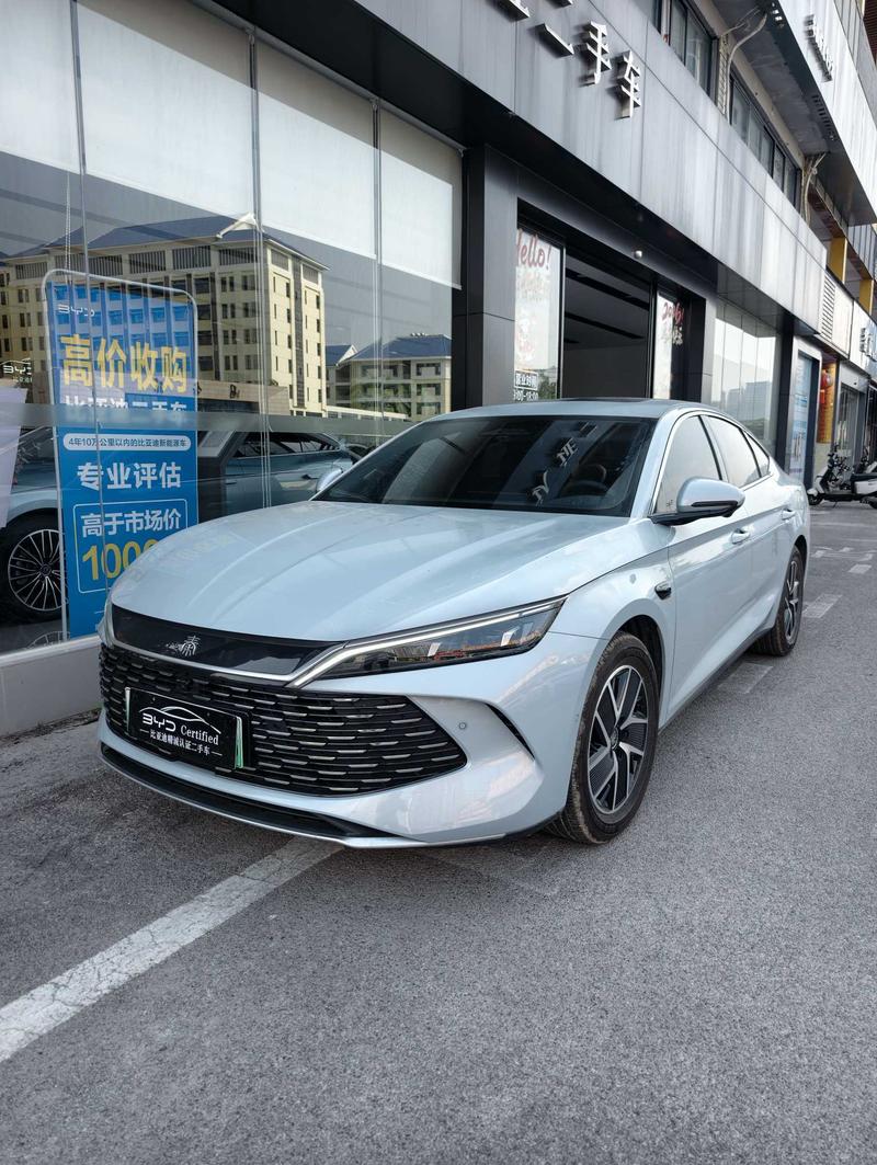BYD L DM - фото 0