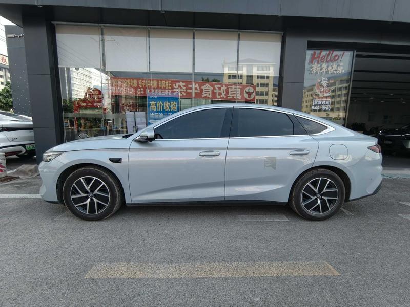BYD L DM - фото 2