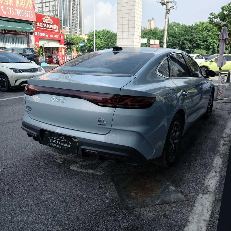 BYD L DM - фото 4
