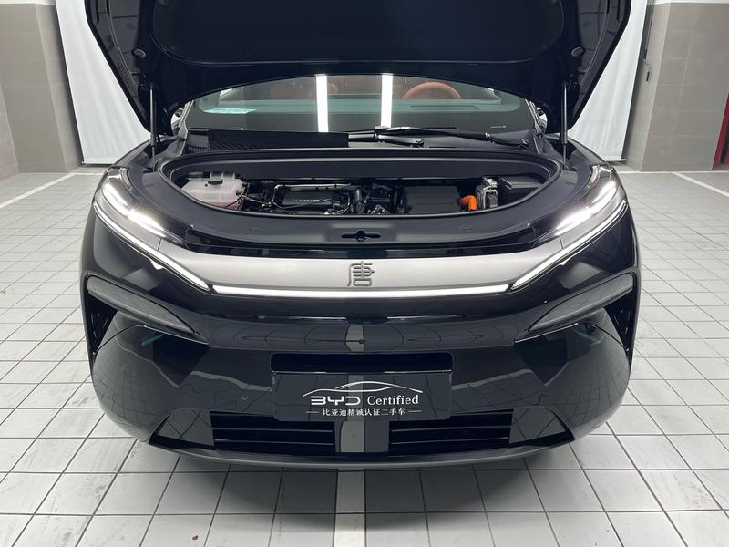 BYD L DM - фото 1