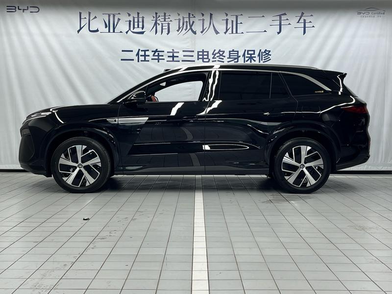 BYD L DM - фото 2